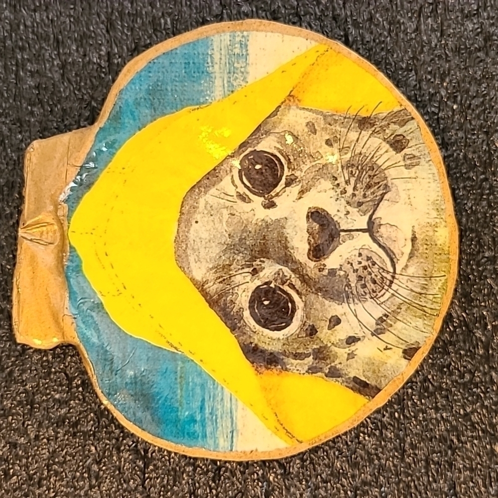 Baby Seal Trinket Shell (Handcrafted)